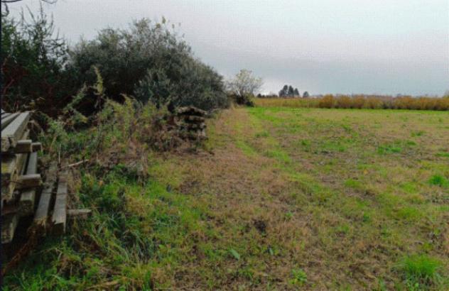 Immobile in asta di 9 m² in vendita a Marcallo con Casone - Foto 2