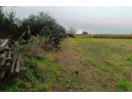 Immobile in asta di 8489 m² in vendita a Marcallo con Casone