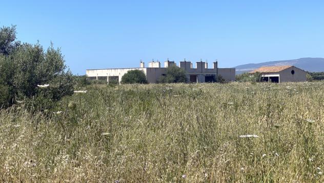 Màssama, Oristano, grande casale al grezzo con terreno di tre etttari - Foto 3