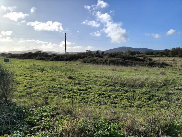 Sassari vendesi terreno agricolo 17043 Mq - Foto 3