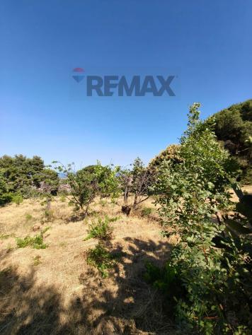 Terreno Edificabile in vendita a Trecastagni - Foto 12
