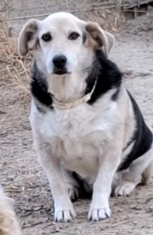 TRILLY E SNOOPY 11 ANNI