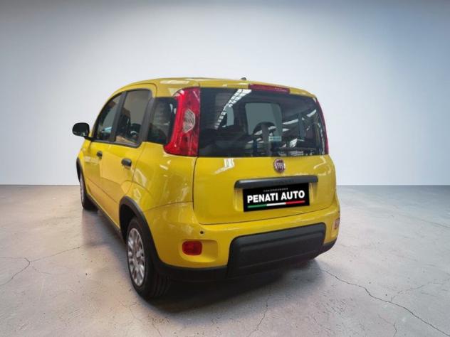 FIAT Pandina Pandina 1.0 firefly hybrid Icon s&s 65cv - Foto 8