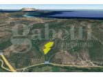 Terreno Agricolo - San Teodoro . Rif.: Cod. rif 3265623VCG