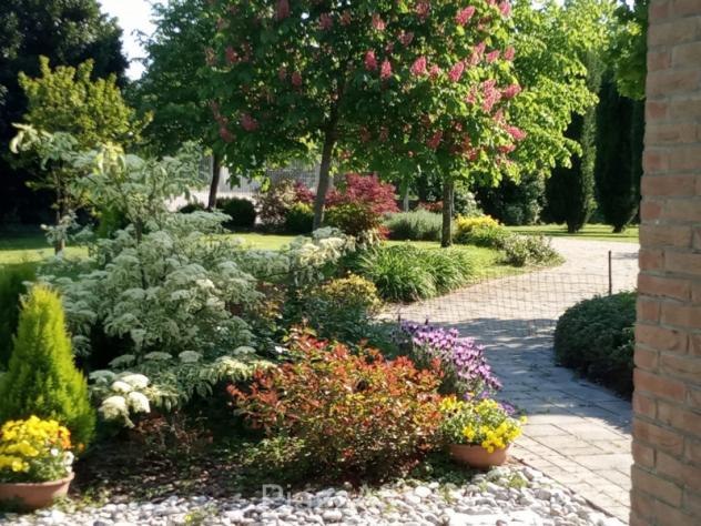 Villa a Correzzola - Rif. CORR34 - Foto 6