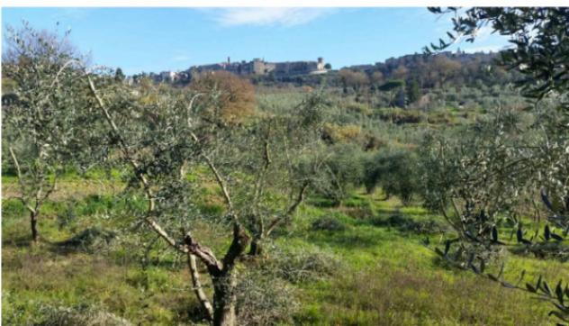 Immobile in asta di 70 m² in vendita a Ficulle - Foto 4