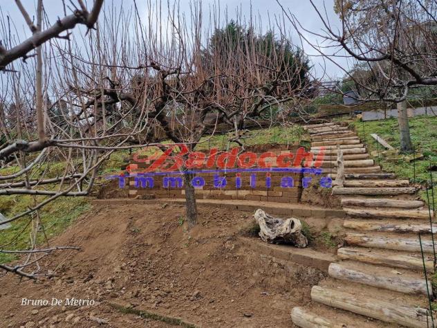 TERRENO AGRICOLO TECNOLOGICO - Foto 18
