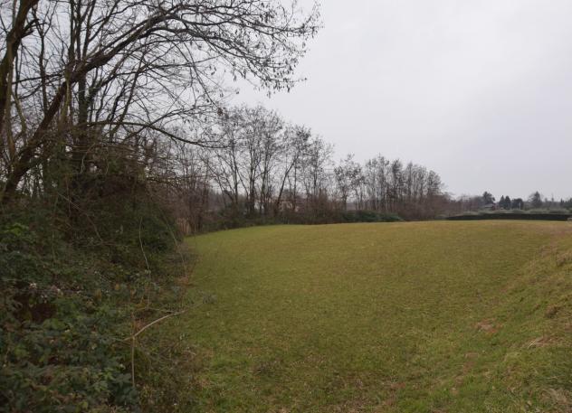 TERRENO AGRICOLO di 6410 mq (MONTEBELLUNA) rif. ZT41F_51 - Foto 5