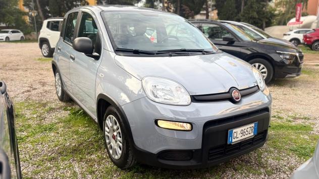FIAT Panda Panda 1.0 firefly hybrid s&s 70cv 12 MESI DI GARANZIA - Foto 2