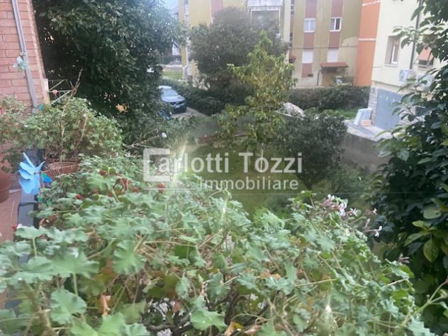 APPARTAMENTO INDIPENDENTE di 5 vani e di 135 mq (GROSSETO) rif. 03555
