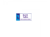 Logo T.S.T. Consulting