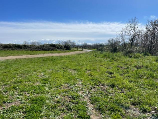 Agricolo in Via della Madonnella - Foto 12