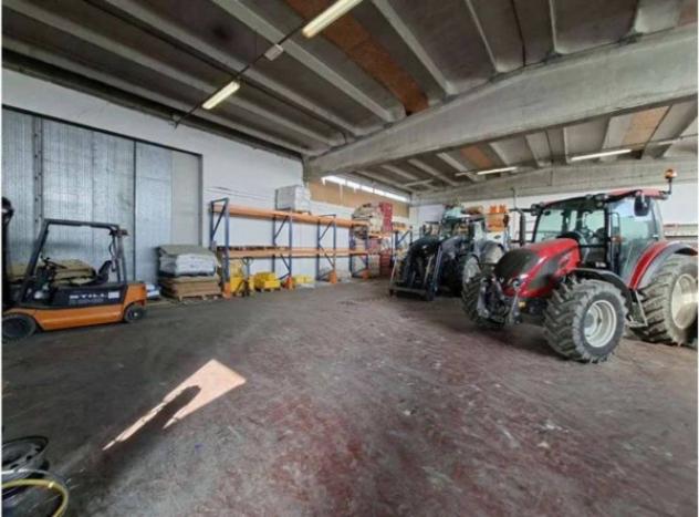 Immobile in asta di 485 m² in vendita a Moglia - Foto 2