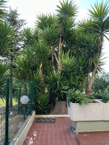 Villa in vendita a Montesilvano - Foto 15