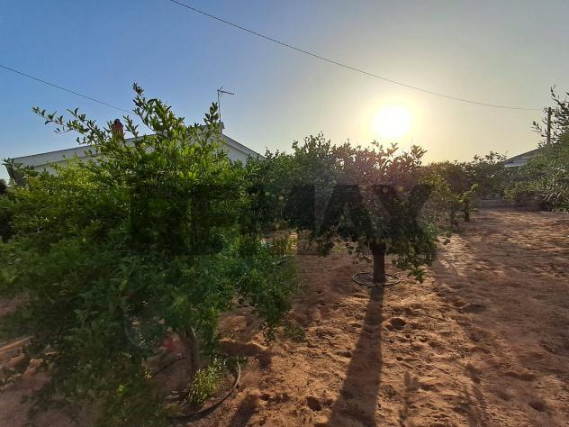 Villa o villino in vendita a Ragusa, Punta Braccetto - Foto 15