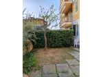 Cervo ( im) dal 16 al 30 settembre o ottobre