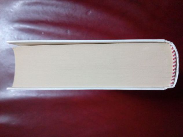 Libro: L'avvocato di strada - John Grisham - Foto 4