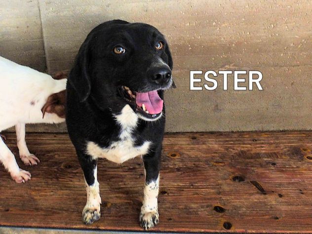 Ester buona e paffutella