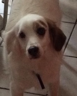 BUBY, dolce Buby - Foto 2
