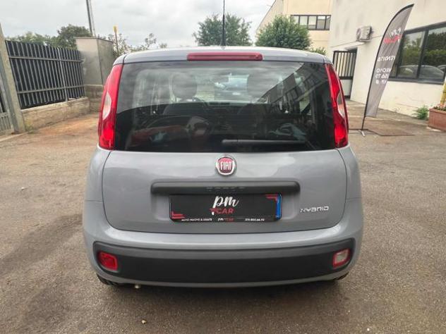 FIAT Panda 1.0 FireFly S&S Hybrid City Life rif. 23935739 - Foto 6