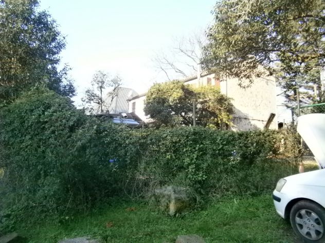 Colli Euganei ristorante e altro - Foto 7