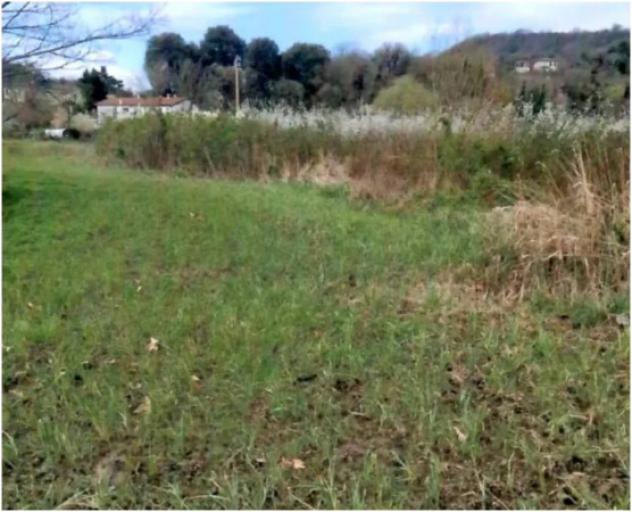 Immobile in asta di 18225 m² in vendita a Teolo - Foto 6
