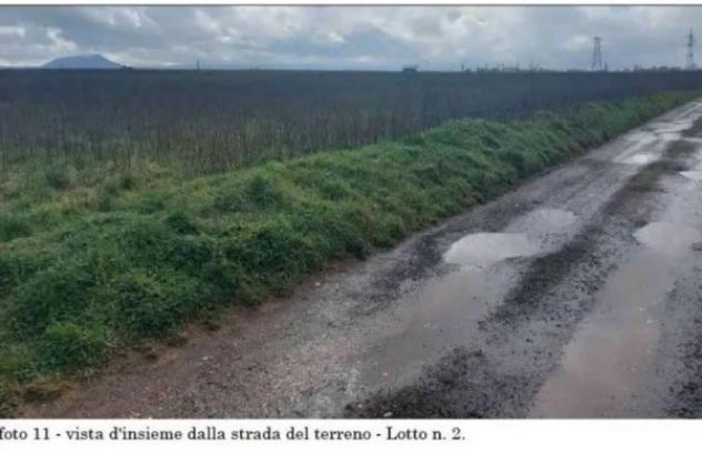 Immobile in asta di 21432 m² in vendita a Viterbo - Foto 3