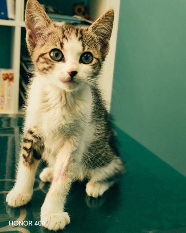 Dolcissima TINA aspetta il tuo Amore. - Foto 2