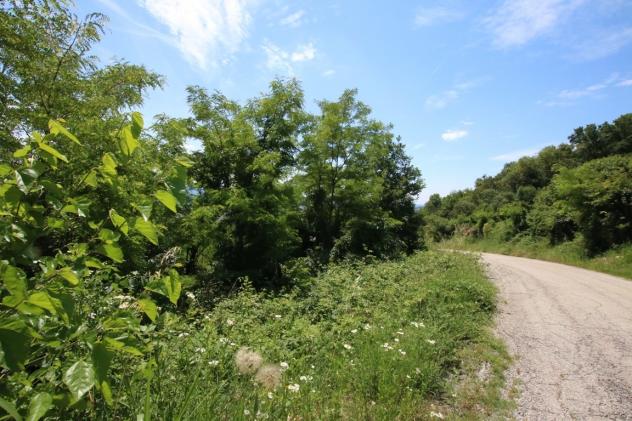 Bosco in vendita a Castegnero - Foto 18