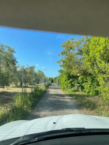 Rustico in vendita a Grosseto - Foto 18