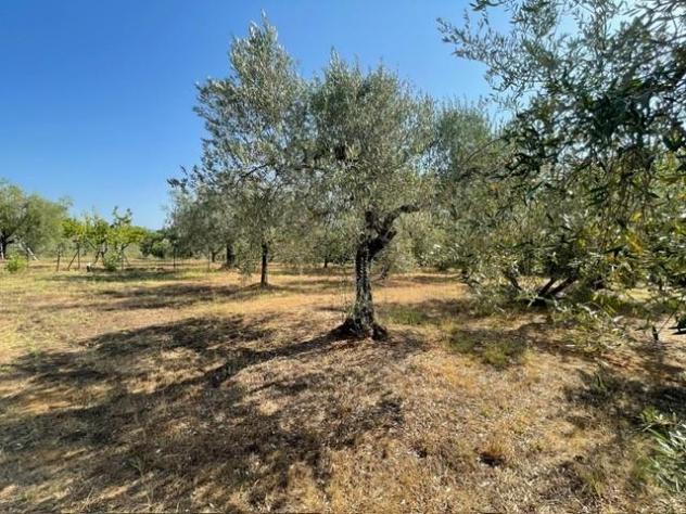 Fienile in vendita a Casale Marittimo 20 mq Rif: 1445256 - Foto 2