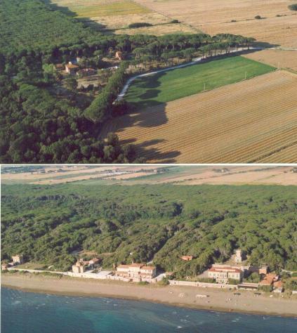 Agriturismo in Vendita in zona DONORATICO con giardino - Foto 2