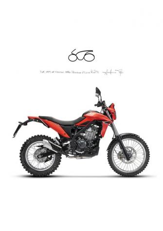 BETAMOTOR Alp 4.0 . rif. 20999313