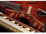 Violinista per eventi, matrimoni, concerti (anche violino elettrico)