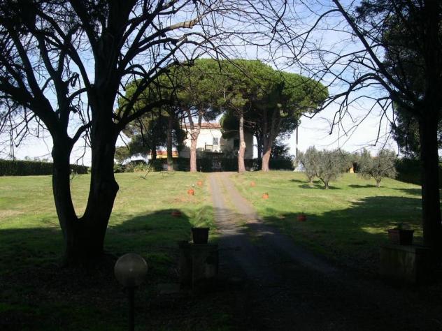 Terreno agricolo in vendita a Casale Marittimo 240000 mq Rif: 1177352 - Foto 4