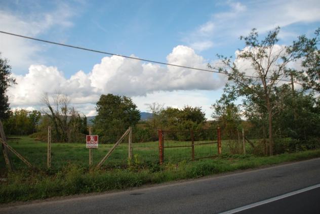 LANUVIO - Foto 6