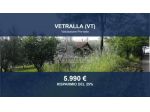 Immobile in asta di 4990 m² in vendita a Vetralla