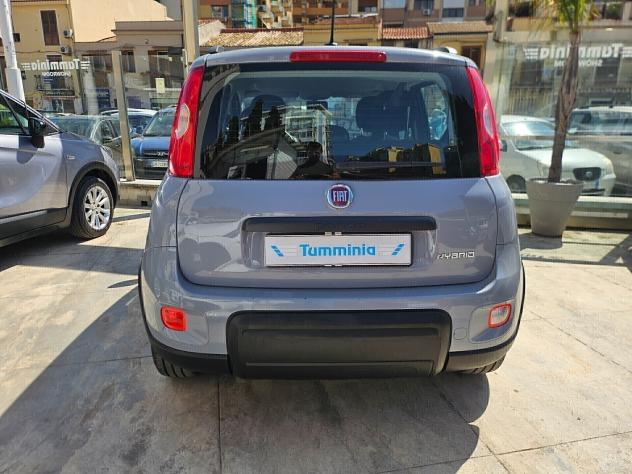 Fiat Panda 1.0 HYBRID LIFE 03/2022 - Foto 4