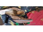 Scarpe aperte
