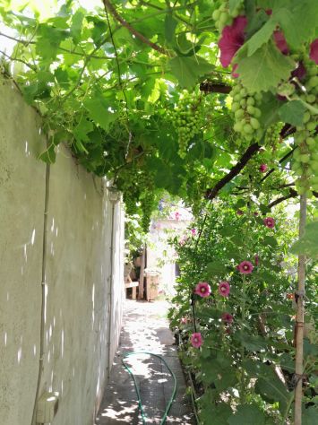 Splendida Villa Indipendente con Giardino, Terrazzo e Dependance – Venduta Arred - Foto 8