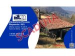 Immobile in asta di 189 m² con più di 5 locali in vendita a Gazzola