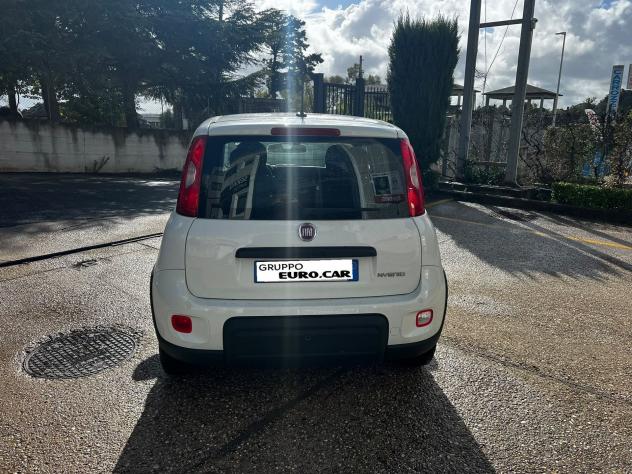 FIAT Panda Panda 1.0 firefly hybrid s&s 70cv 5p.ti - Foto 5