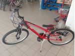 MTB R.24 RAGAZZO 18 VELOCITÀ SPIN SKILLED