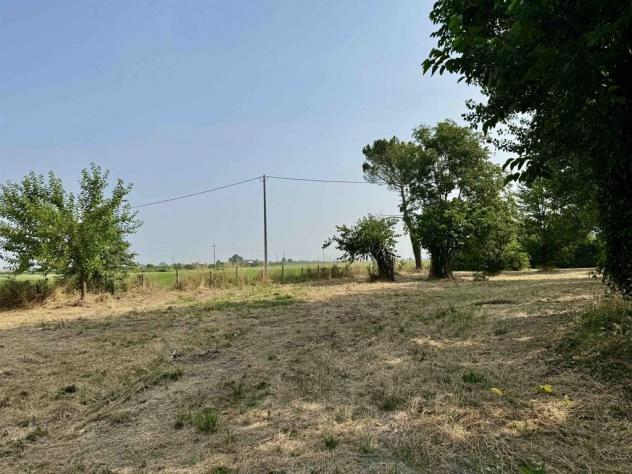 La bifamiliare col boschetto: un angolo di natura e spazio ad Alfonsine - Foto 14