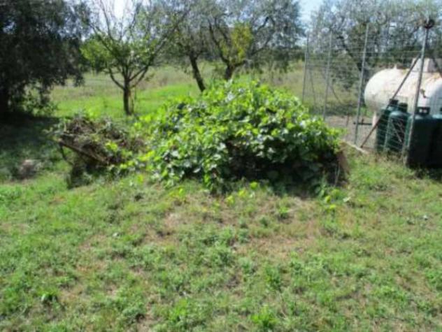 Immobile in asta di 208 m² con più di 5 locali e box auto in vendita a Fucecchio - Foto 4