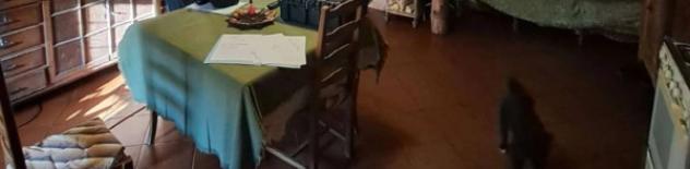 Immobile in asta di 197 m² in vendita a Perrero - Foto 10