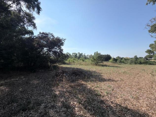 Agricolo in vendita a Aprilia - Foto 12