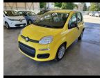 FIAT Pandina 1.0 FireFly 65 CV Hybrid Icon rif. 24121662