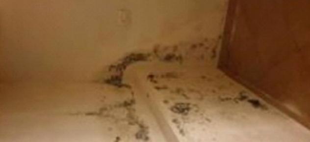 Immobile in asta di 40 m² in vendita a Ardenno - Foto 8