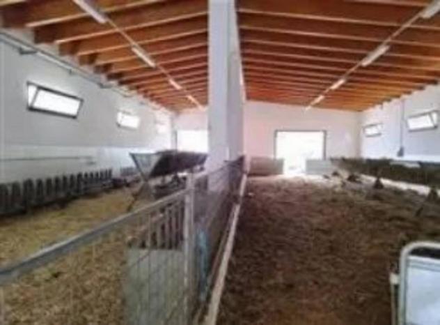 Immobile in asta di 293909 m² in vendita a Montefelcino - Foto 6